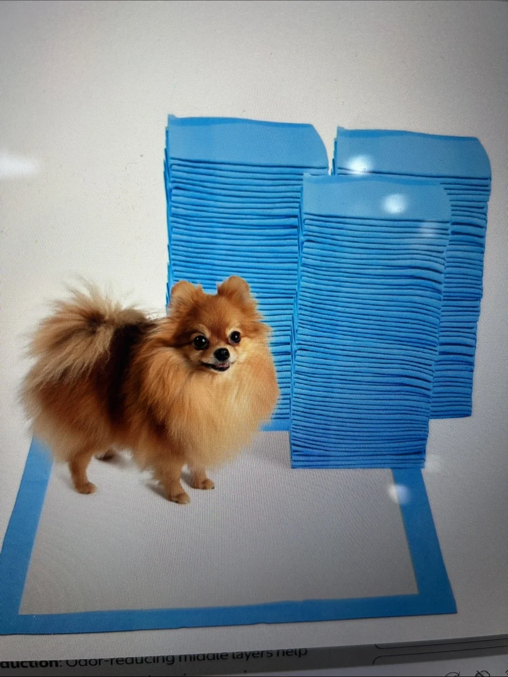 Leak Proof PetTraining Pads- 35 total